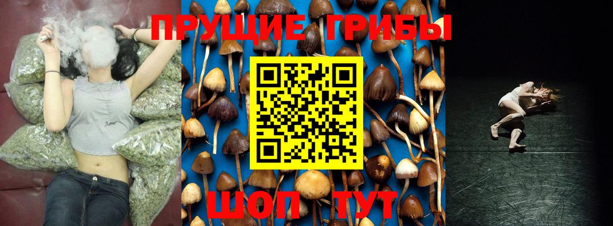 Псилоцибиновые грибы прущие грибы Корсаков