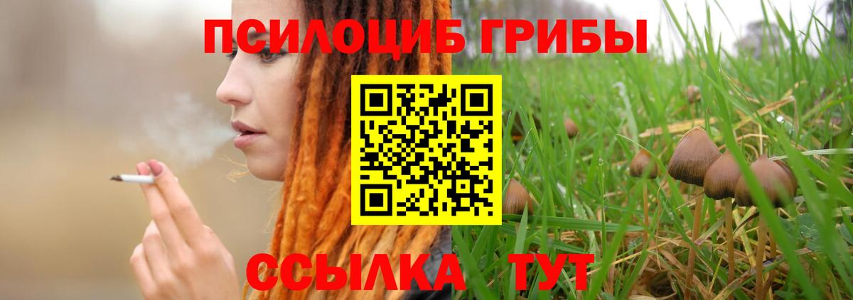 дарнет шоп  Псилоцибиновые грибы Psilocybine cubensis  Вход с VPN  Корсаков 